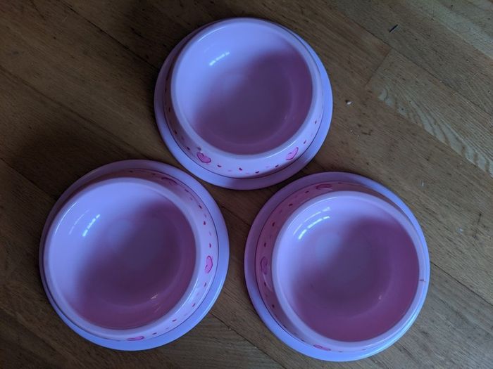 Dog bowl small size.