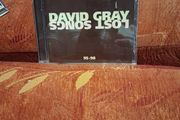 Cd David Gray Lost Songs