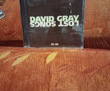 Cd David Gray Lost Songs