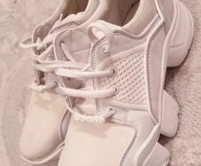 Trainers