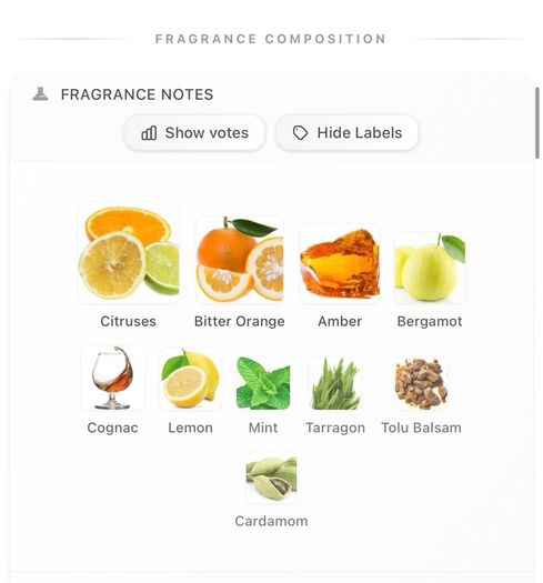 Tom Ford Rive D'Ambre
