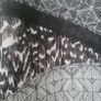 Warehouse Blouse Image 2