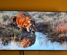 Lg 75" 4K Smart TV 2024 ModelPristine Condition
