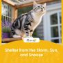 Outdoor cat house, wooden house for cats, multiple entrances, window, waterproof, 60 x 60 x 88 cm, White Image 5