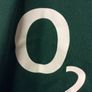 Ireland Rugby Jersey. Grand Slam Winning Jersey 2009. Official Canterbury Home Jersey. Authentic Original From 2009. Not A Modern Day Remake. Image 7