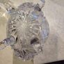 Vintage Bohemian Czech Crystal  Footed Bowl Hand Cut Queen Lace 24% Lead Glass. Image 4