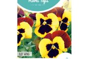 HT Pansy Red Wing Seeds 0.4g | Sow July - August