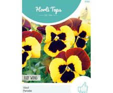 HT Pansy Red Wing Seeds 0.4g | Sow July - August