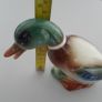Mallard Duck Image 9