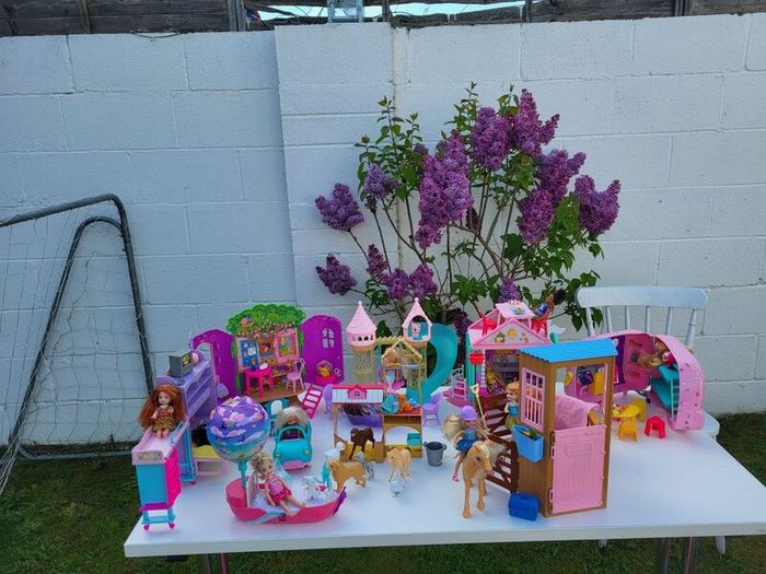 Barbie shelly dolls