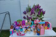 Barbie shelly dolls