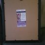 Framed Larry Fitzgerald autographed sports illustrated magazine with Cos Image 4