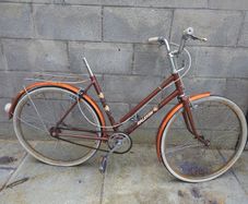 Free bike