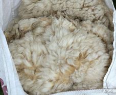 Galway Wool