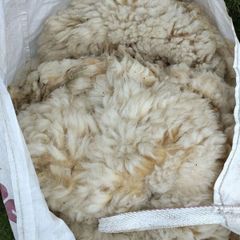 Galway Wool