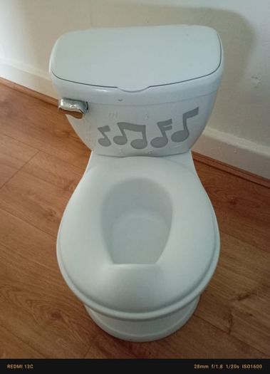 musical toilet