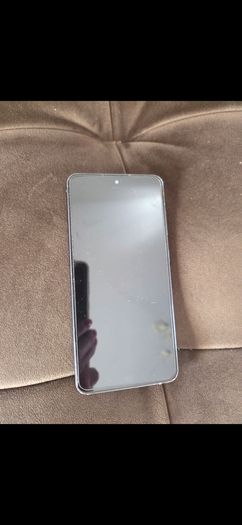 Samsung  S21F