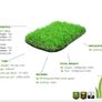 Premium Outdoor Grass Roll Image 2