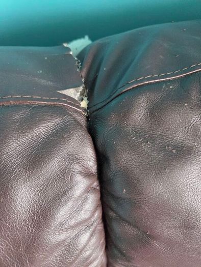 Free Sofas