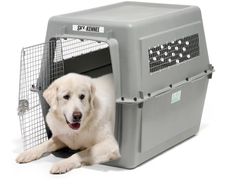 Dog Kennel