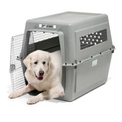 Dog Kennel