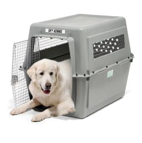 Dog Kennel