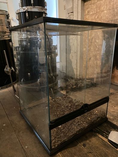 large glass reptile tank