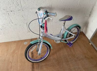 Girls Bike 20"