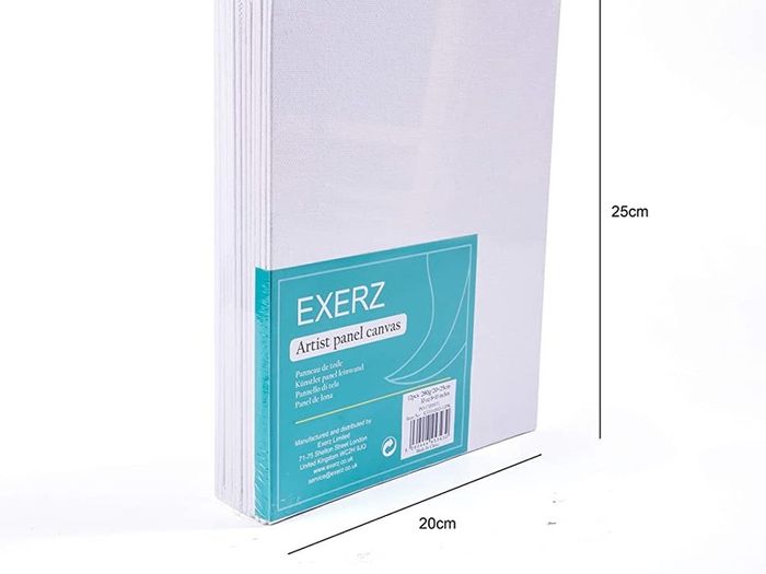 20x25cm Canvas Panels 12pcs 280GSM/ Artist Canvas Board 100% Cotton 0.3cm Thinkness/ Blank/ Triple Primed/ Acid Free/ Medium Grain