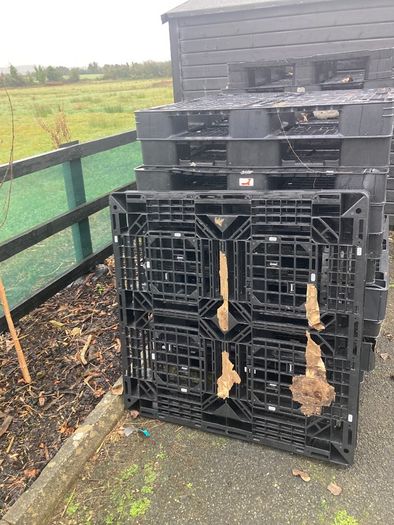 Plastic pallets