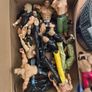 wwe job lot Image 2