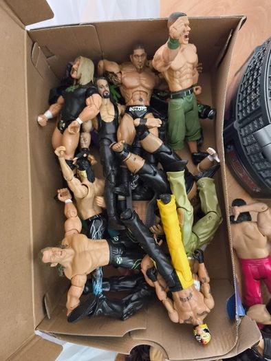 wwe job lot