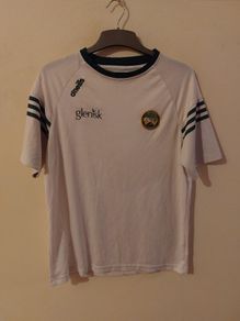 offaly gaa jersey