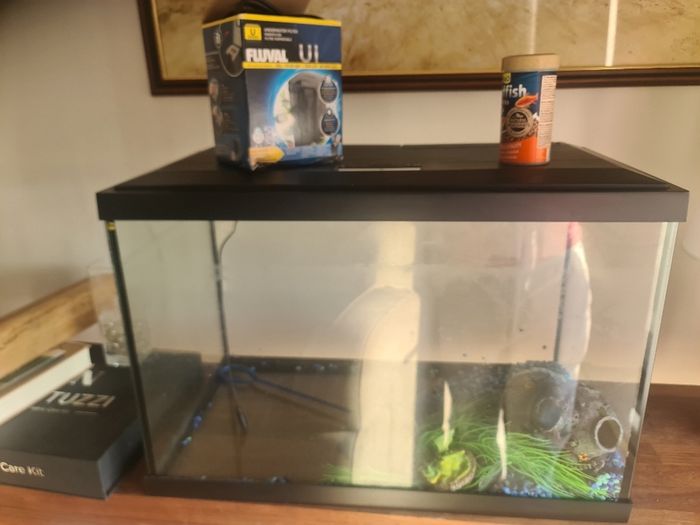 fish tank