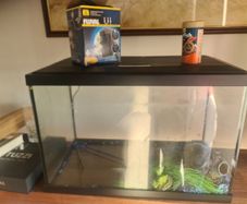 fish tank