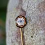 Antique 1ct Diamond Tie Pin / Lapel Pin circa 1850 Image 3