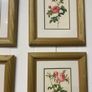 Set of six framed rose prints Image 4