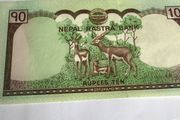 Nepal Banknote 10 Rupees
