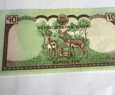 Nepal Banknote 10 Rupees