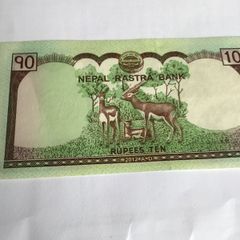 Nepal Banknote 10 Rupees