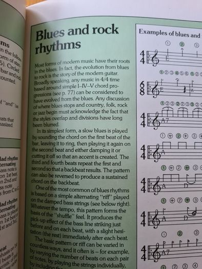 The Guitar Handbook By Ralph Drnyrr. Large Vole Book Of 251 Pages For Amature & Professional.