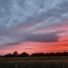 spain2015