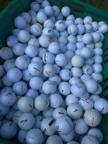 50 Value Brand Golf Balls