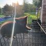 Kittens - Free to good home