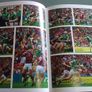 At Last Limerick's long wait is over Ireland Irish Limerick GAA Image 7
