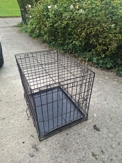 dog cage