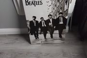 The Beatles canvas art