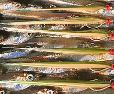 Bass/Saltwater Flies