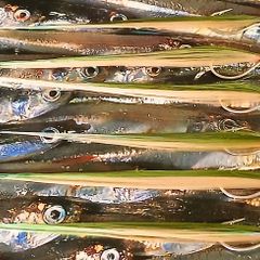 Bass/Saltwater Flies
