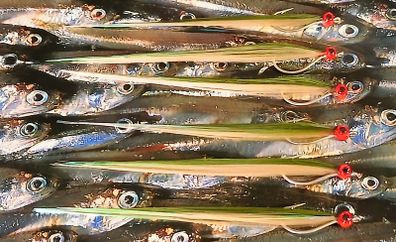Bass/Saltwater Flies